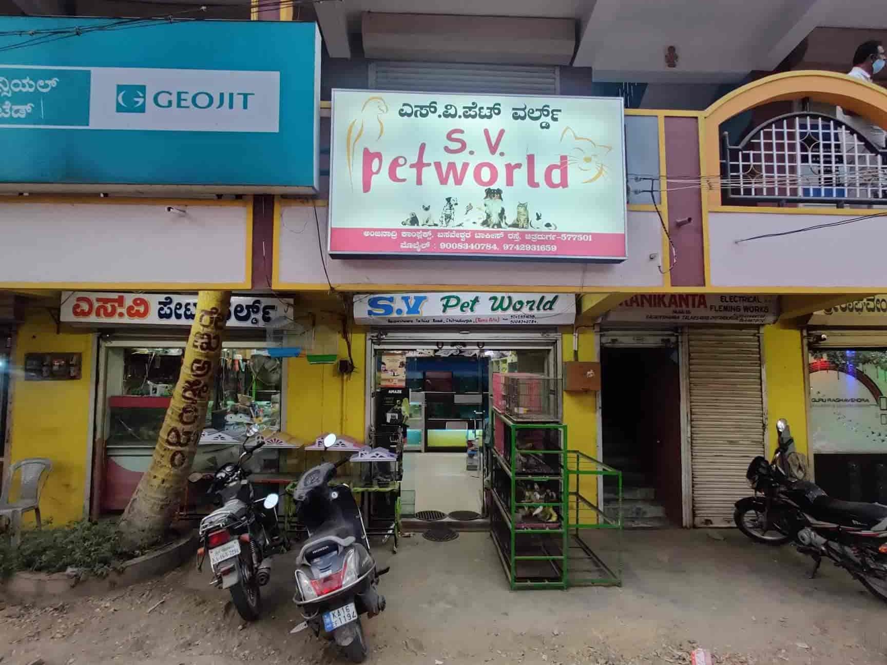 SV PET WORLD 1 sv pet world