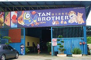 Tan Brothers Aquatic Trading Co. 1 tan brothers aquatic trading co