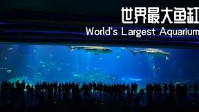 xhl aquatic e696b0e8b1aae9be8defbc88e59c8be99a9befbc89e6b0b4e6978fe9a4a8